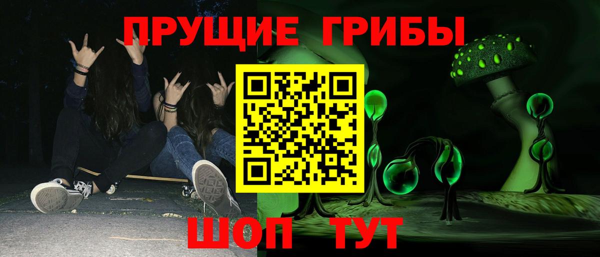 Псилоцибиновые грибы Psilocybe Владимир